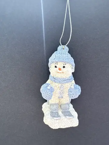 "The Skier"